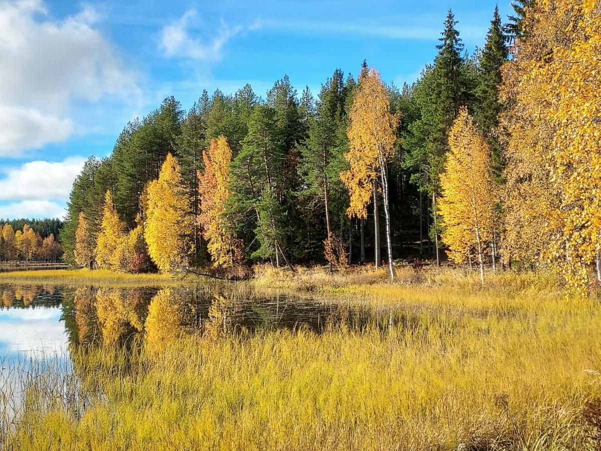 Villa Sirius Sieri, Nice Log-Cottage By The Lake Rovaniemi Bagian luar foto