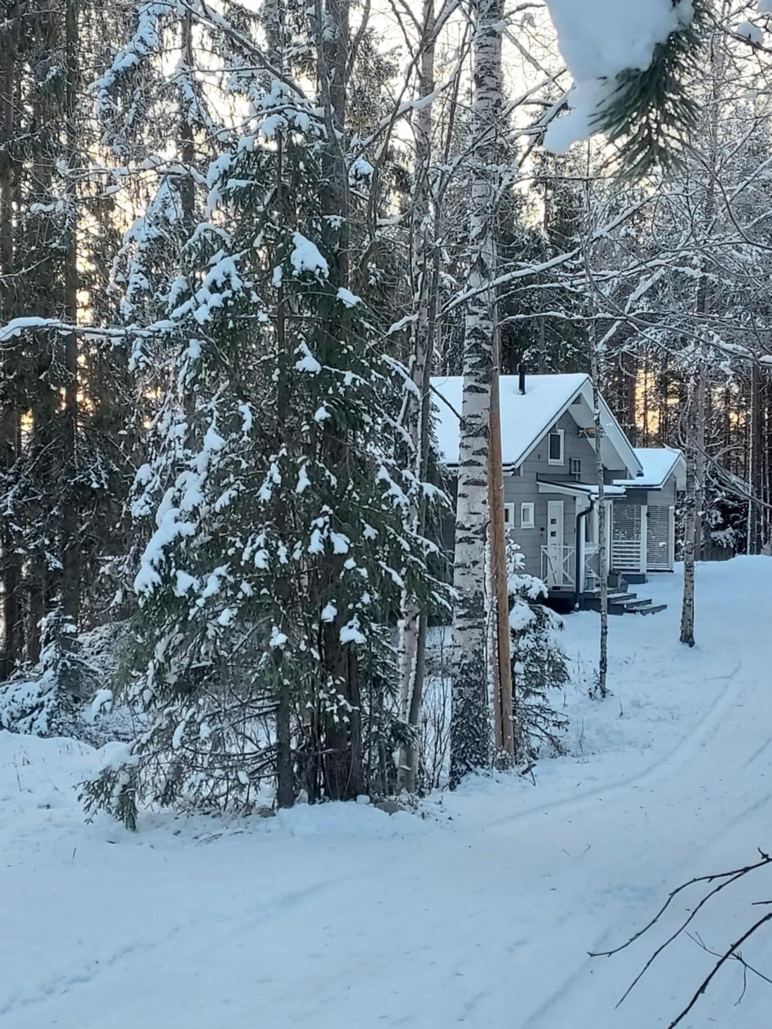 Villa Sirius Sieri, Nice Log-Cottage By The Lake Rovaniemi Bagian luar foto